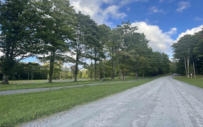 Lot 4 Winterset Drive, Davis, West Virginia 26260, ,Lots/land,For Sale,Winterset,10155934