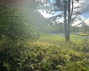 Lot 4 Winterset Drive, Davis, West Virginia 26260, ,Lots/land,For Sale,Winterset,10155934