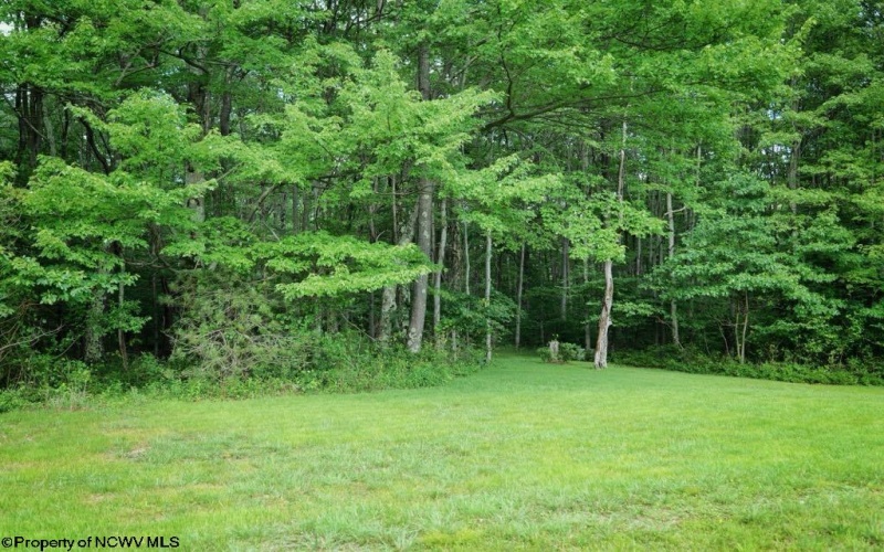 26879 Veterans Memorial Highway, Terra Alta, West Virginia 26764, 3 Bedrooms Bedrooms, 9 Rooms Rooms,2 BathroomsBathrooms,Single Family Detached,For Sale,Veterans Memorial,10160332