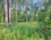 3578 Cranesville Road, Terra Alta, West Virginia 26764, ,Commercial/industrial,For Sale,Cranesville,10160355