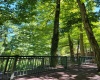 84 Scenic Ridge Road, Elkins, West Virginia 26241, ,Multi-unit/income,For Sale,Scenic Ridge,10152097