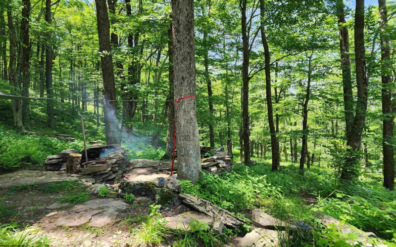 1373 Rocky Road, Harman, West Virginia 26270, 1 Bedroom Bedrooms, 1 Room Rooms,1 BathroomBathrooms,Single Family Detached,For Sale,Rocky,10160370