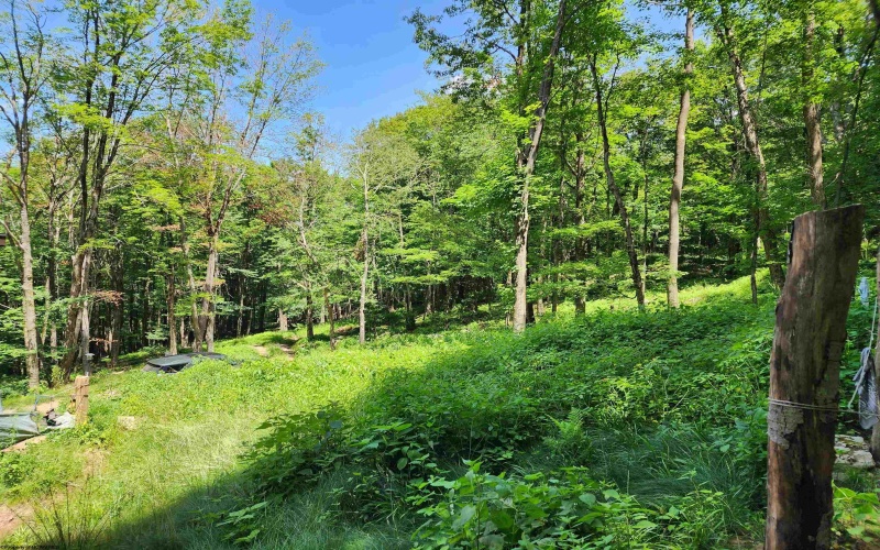 1373 Rocky Road, Harman, West Virginia 26270, 1 Bedroom Bedrooms, 1 Room Rooms,1 BathroomBathrooms,Single Family Detached,For Sale,Rocky,10160370