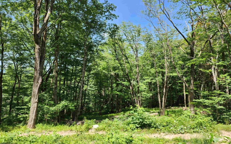 1373 Rocky Road, Harman, West Virginia 26270, 1 Bedroom Bedrooms, 1 Room Rooms,1 BathroomBathrooms,Single Family Detached,For Sale,Rocky,10160370