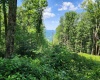 1373 Rocky Road, Harman, West Virginia 26270, 1 Bedroom Bedrooms, 1 Room Rooms,1 BathroomBathrooms,Single Family Detached,For Sale,Rocky,10160370