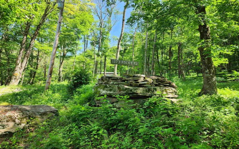 1373 Rocky Road, Harman, West Virginia 26270, 1 Bedroom Bedrooms, 1 Room Rooms,1 BathroomBathrooms,Single Family Detached,For Sale,Rocky,10160370