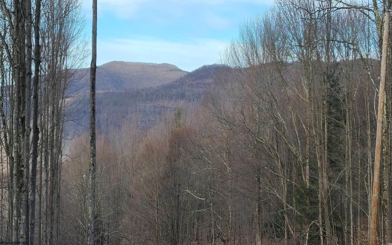 1373 Rocky Road, Harman, West Virginia 26270, 1 Bedroom Bedrooms, 1 Room Rooms,1 BathroomBathrooms,Single Family Detached,For Sale,Rocky,10160370