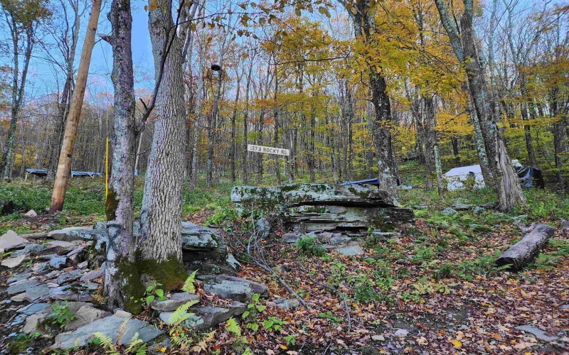 1373 Rocky Road, Harman, West Virginia 26270, 1 Bedroom Bedrooms, 1 Room Rooms,1 BathroomBathrooms,Single Family Detached,For Sale,Rocky,10160370