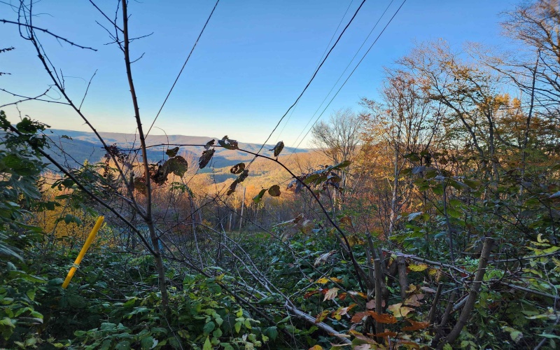 1373 Rocky Road, Harman, West Virginia 26270, 1 Bedroom Bedrooms, 1 Room Rooms,1 BathroomBathrooms,Single Family Detached,For Sale,Rocky,10160370