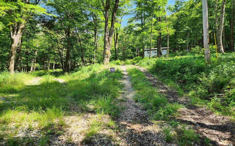 1373 Rocky Road, Harman, West Virginia 26270, 1 Bedroom Bedrooms, 1 Room Rooms,1 BathroomBathrooms,Single Family Detached,For Sale,Rocky,10160370