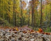 Lot 21 Snake Hill Road, Morgantown, West Virginia 26508, ,Lots/land,For Sale,Snake Hill,10160384