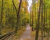 Lot 21 Snake Hill Road, Morgantown, West Virginia 26508, ,Lots/land,For Sale,Snake Hill,10160384