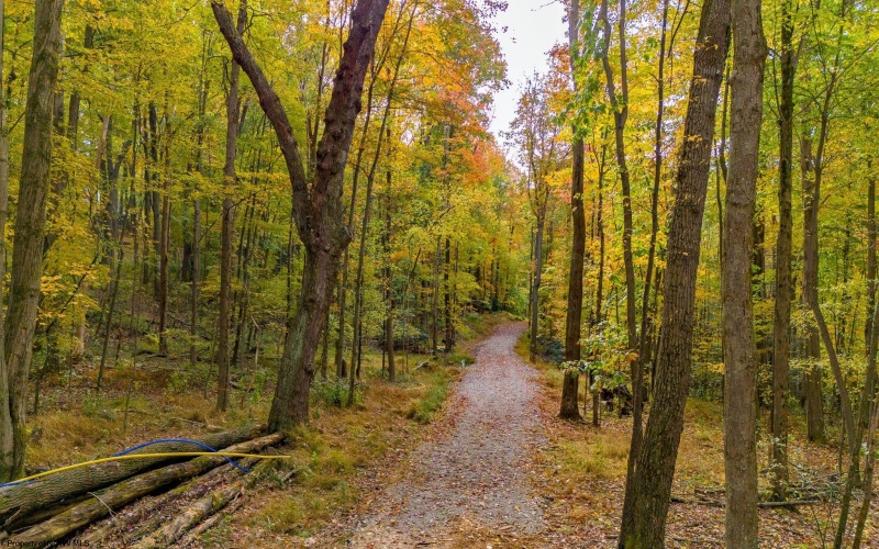 Lot 21 Snake Hill Road, Morgantown, West Virginia 26508, ,Lots/land,For Sale,Snake Hill,10160384