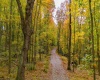 Lot 21 Snake Hill Road, Morgantown, West Virginia 26508, ,Lots/land,For Sale,Snake Hill,10160384