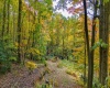 Lot 21 Snake Hill Road, Morgantown, West Virginia 26508, ,Lots/land,For Sale,Snake Hill,10160384
