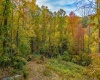 Lot 21 Snake Hill Road, Morgantown, West Virginia 26508, ,Lots/land,For Sale,Snake Hill,10160384