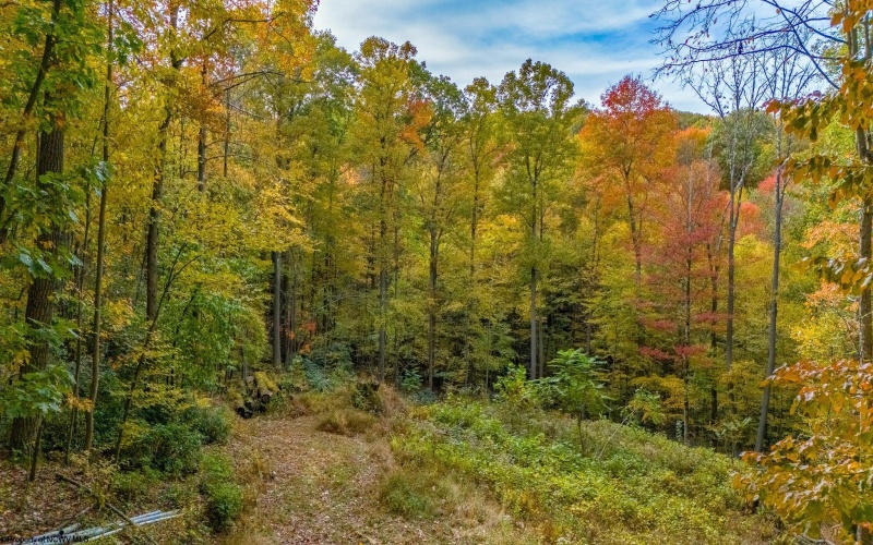 Lot 21 Snake Hill Road, Morgantown, West Virginia 26508, ,Lots/land,For Sale,Snake Hill,10160384