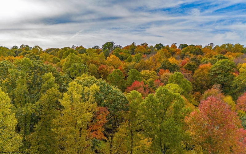Lot 21 Snake Hill Road, Morgantown, West Virginia 26508, ,Lots/land,For Sale,Snake Hill,10160384