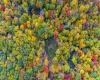 Lot 21 Snake Hill Road, Morgantown, West Virginia 26508, ,Lots/land,For Sale,Snake Hill,10160384