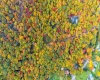 Lot 21 Snake Hill Road, Morgantown, West Virginia 26508, ,Lots/land,For Sale,Snake Hill,10160384