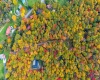 Lot 21 Snake Hill Road, Morgantown, West Virginia 26508, ,Lots/land,For Sale,Snake Hill,10160384