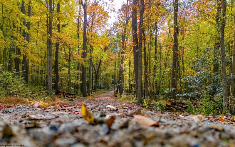 Lot 21 Snake Hill Road, Morgantown, West Virginia 26508, ,Lots/land,For Sale,Snake Hill,10160384