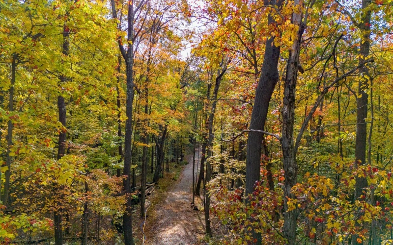 Lot 21 Snake Hill Road, Morgantown, West Virginia 26508, ,Lots/land,For Sale,Snake Hill,10160384