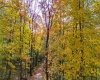 Lot 21 Snake Hill Road, Morgantown, West Virginia 26508, ,Lots/land,For Sale,Snake Hill,10160384