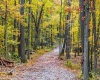 Lot 21 Snake Hill Road, Morgantown, West Virginia 26508, ,Lots/land,For Sale,Snake Hill,10160384