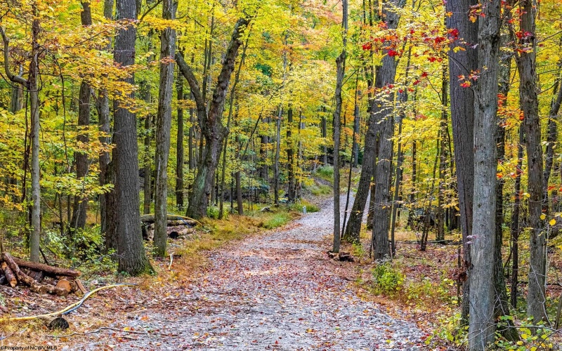 Lot 21 Snake Hill Road, Morgantown, West Virginia 26508, ,Lots/land,For Sale,Snake Hill,10160384