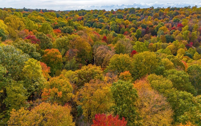 Lot 21 Snake Hill Road, Morgantown, West Virginia 26508, ,Lots/land,For Sale,Snake Hill,10160384