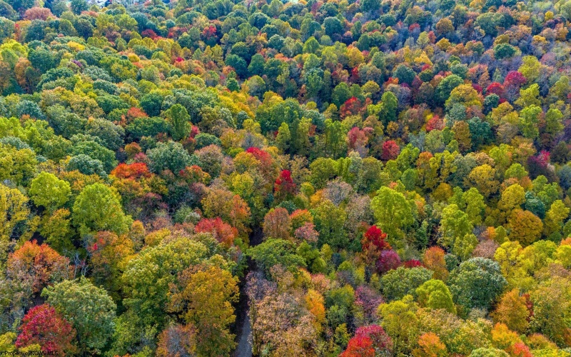 Lot 21 Snake Hill Road, Morgantown, West Virginia 26508, ,Lots/land,For Sale,Snake Hill,10160384