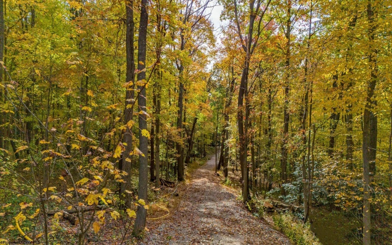 Lot 21 Snake Hill Road, Morgantown, West Virginia 26508, ,Lots/land,For Sale,Snake Hill,10160384