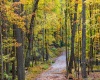 Lot 21 Snake Hill Road, Morgantown, West Virginia 26508, ,Lots/land,For Sale,Snake Hill,10160384