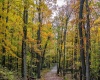 Lot 21 Snake Hill Road, Morgantown, West Virginia 26508, ,Lots/land,For Sale,Snake Hill,10160384