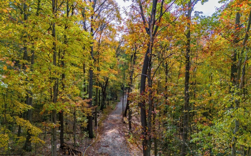 Lot 21 Snake Hill Road, Morgantown, West Virginia 26508, ,Lots/land,For Sale,Snake Hill,10160384