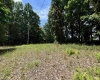 TBD Halleck Road, Morgantown, West Virginia 26508, ,Lots/land,For Sale,Halleck,10158732
