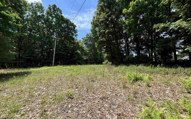 TBD Halleck Road, Morgantown, West Virginia 26508, ,Lots/land,For Sale,Halleck,10158732
