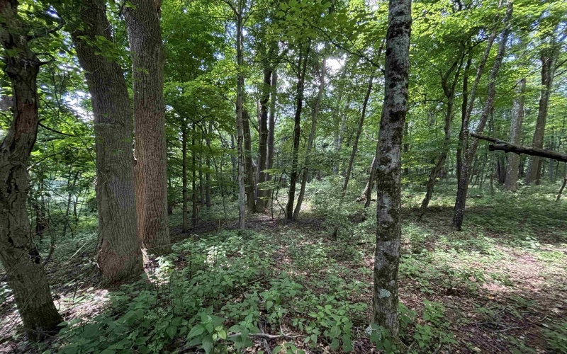 TBD Halleck Road, Morgantown, West Virginia 26508, ,Lots/land,For Sale,Halleck,10158732