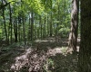 TBD Halleck Road, Morgantown, West Virginia 26508, ,Lots/land,For Sale,Halleck,10158732