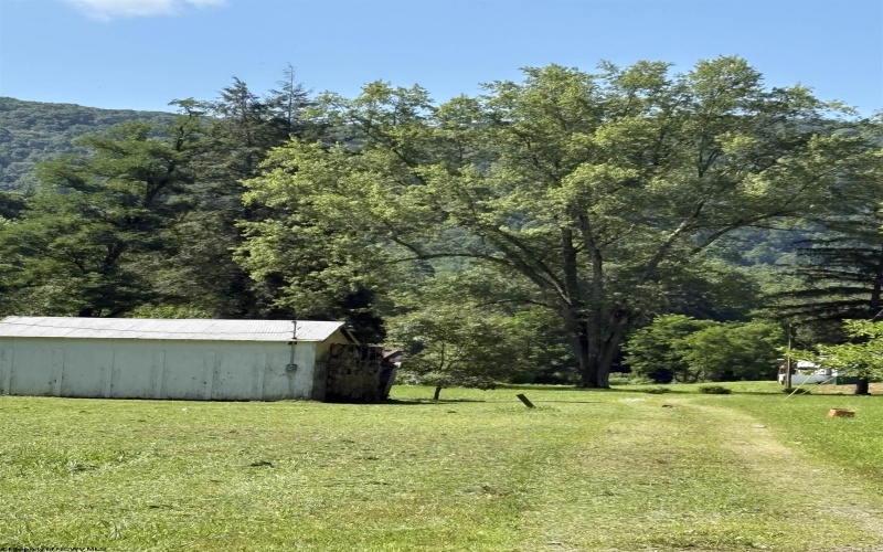 26 Pinewood Loop, Webster Springs, West Virginia 26288, ,Lots/land,For Sale,Pinewood,10153259