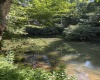 26 Pinewood Loop, Webster Springs, West Virginia 26288, ,Lots/land,For Sale,Pinewood,10153259