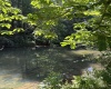 26 Pinewood Loop, Webster Springs, West Virginia 26288, ,Lots/land,For Sale,Pinewood,10153259