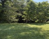 26 Pinewood Loop, Webster Springs, West Virginia 26288, ,Lots/land,For Sale,Pinewood,10153259