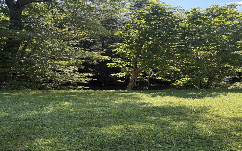 26 Pinewood Loop, Webster Springs, West Virginia 26288, ,Lots/land,For Sale,Pinewood,10153259