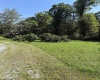 26 Pinewood Loop, Webster Springs, West Virginia 26288, ,Lots/land,For Sale,Pinewood,10153259