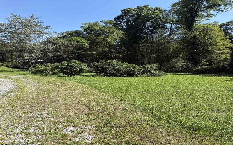 26 Pinewood Loop, Webster Springs, West Virginia 26288, ,Lots/land,For Sale,Pinewood,10153259