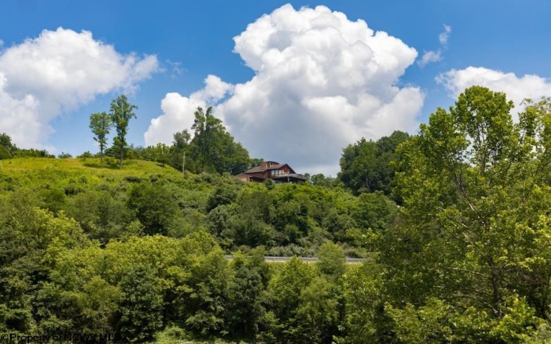 100 Graceland Road, Roanoke, West Virginia 26447, 3 Bedrooms Bedrooms, 8 Rooms Rooms,3 BathroomsBathrooms,Single Family Detached,For Sale,Graceland,10160385
