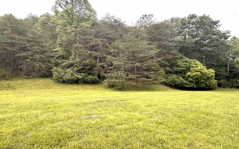 TBD Gee Lick Road, Weston, West Virginia 26452, ,Lots/land,For Sale,Gee Lick,10160396