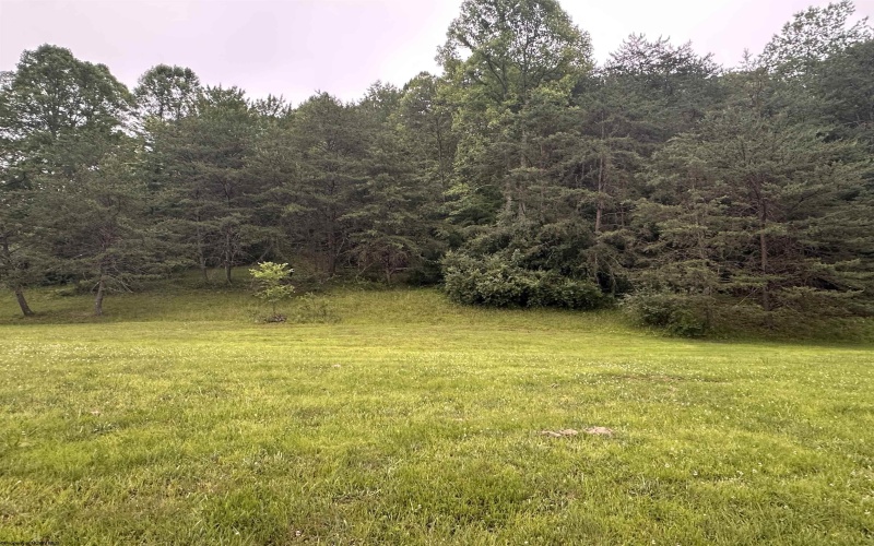 TBD Gee Lick Road, Weston, West Virginia 26452, ,Lots/land,For Sale,Gee Lick,10160396